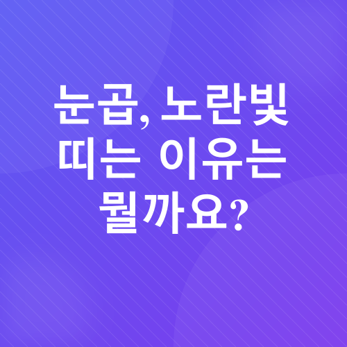 고양이 눈곱_1