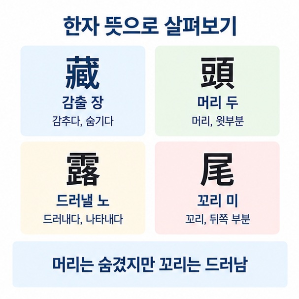 감출 장과 머리 두, 드러낼 노, 꼬리 미의 한자 풀이를 정리한 이미지