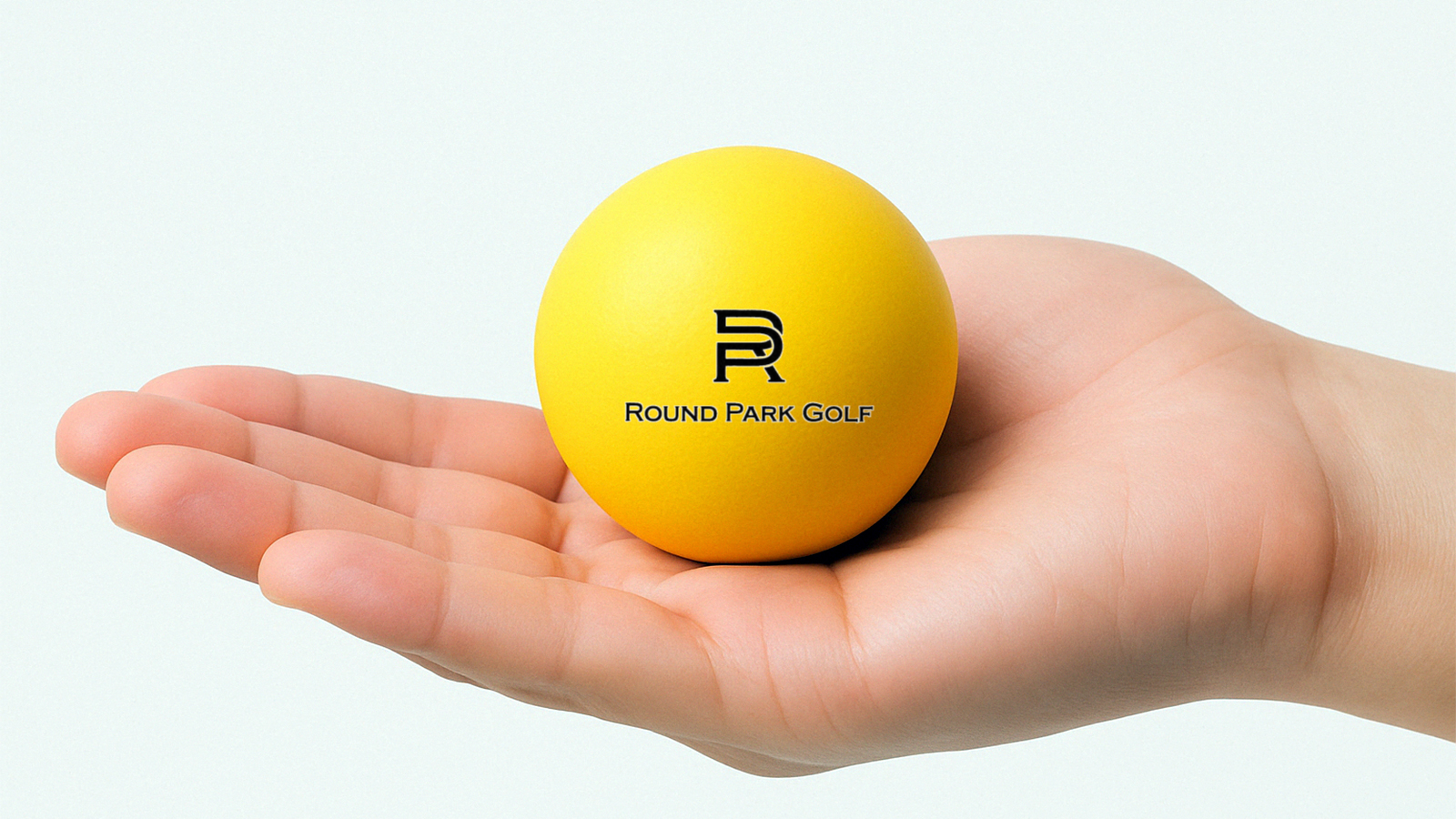 파크골프공 가격