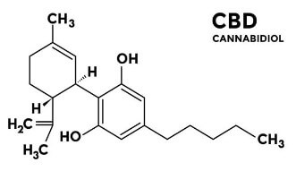 대마종자유 효능, 햄프씨드 식물성 오일로 먹자! 이제는 모두가 건강에 관심이 많다 보니 관리 또한 똑똑하게 합니다.