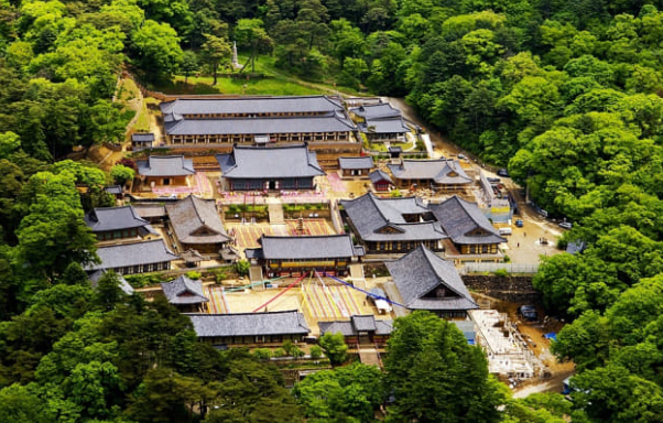 2026 합천 반값여행 지원신청 방법 조건 확인하기 여행코스 추천