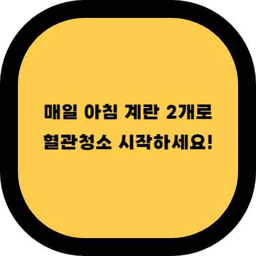 🥚 삶은 계란 2개, 혈관청소에 효과? 50대 건강식단으로 주목!