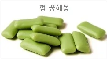 껌 꿈해몽