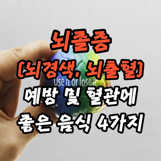 뇌졸증 예방음식