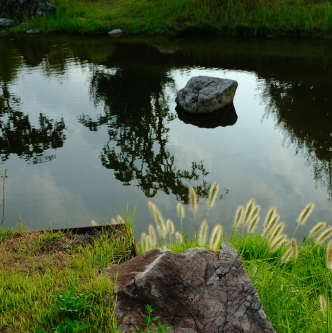 대구 군위 사유원 관람 예약