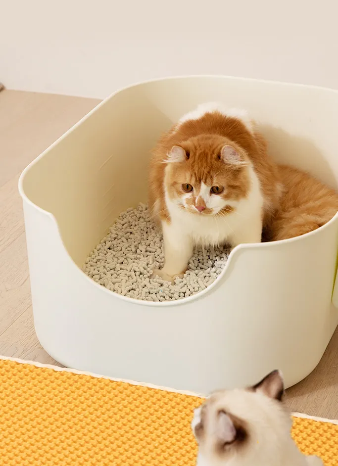 고양이 화장실 크기 대형 자동화장실 추천_5