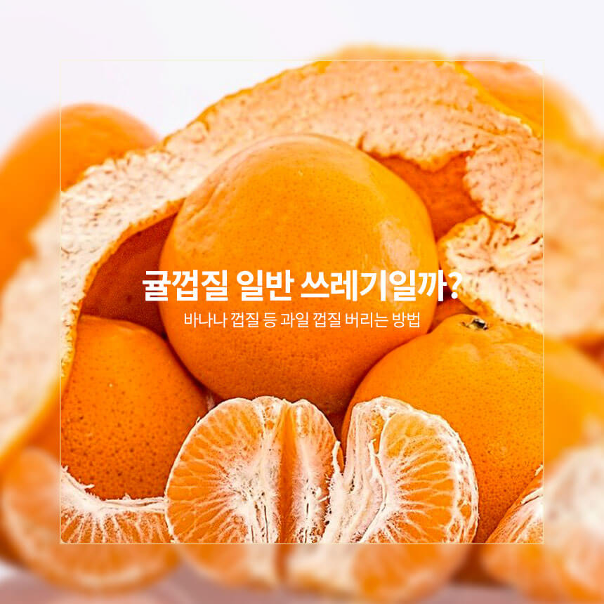 귤껍질은 일반 쓰레기일까? 음식물 쓰레기 일까?