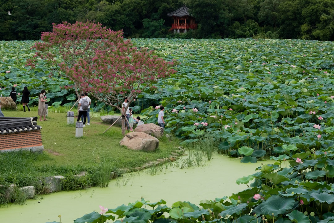 Jeonju
