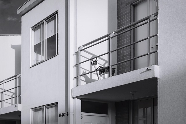 아파트 테라스에 혼자 있는 강아지