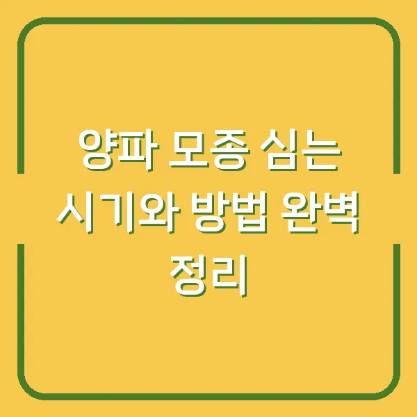 양파 모종 심는 시기와 방법 완벽 정리