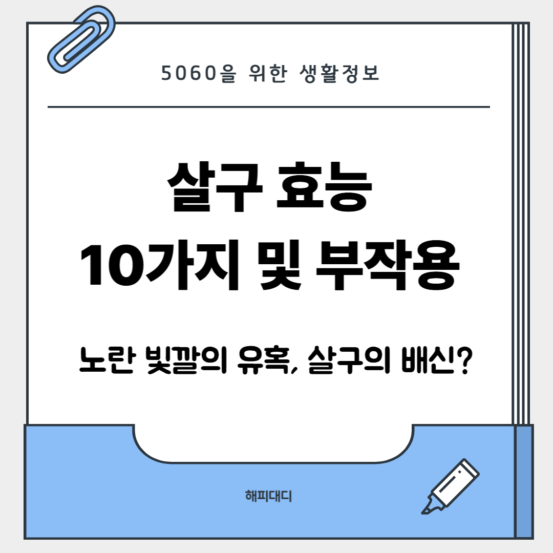 살구효능10가지