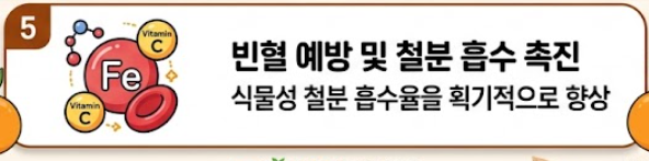 오렌지 효능