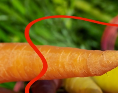 당근 효능 부작용