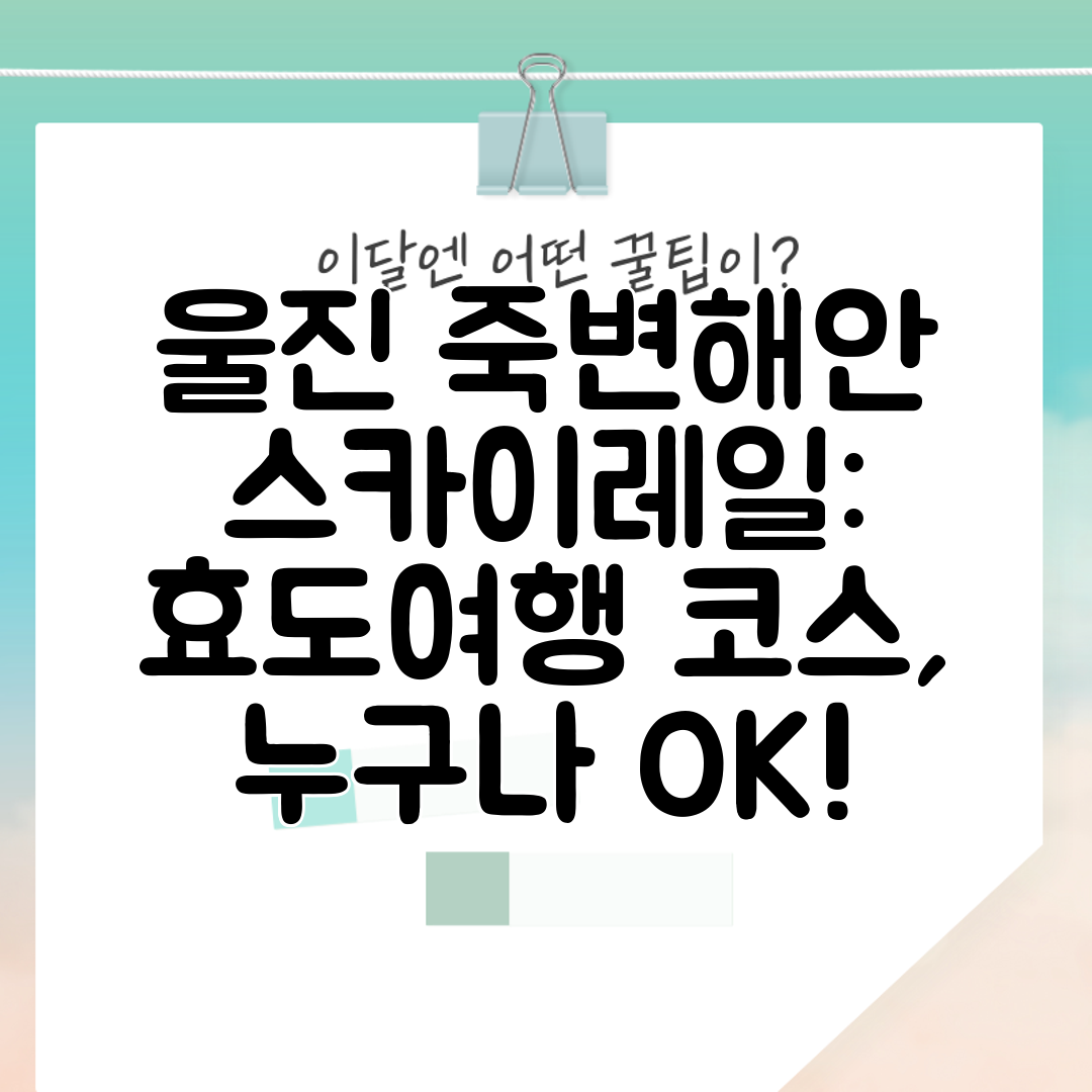 울진 죽변해안 스카이레일 효도여행 코스, 누구나 OK!