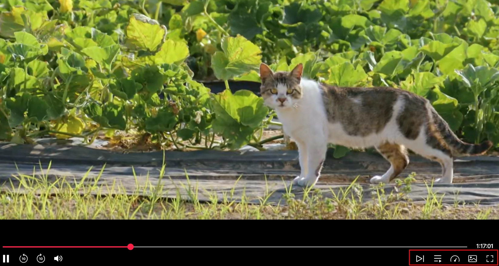 티빙-PIP-팝업-모드