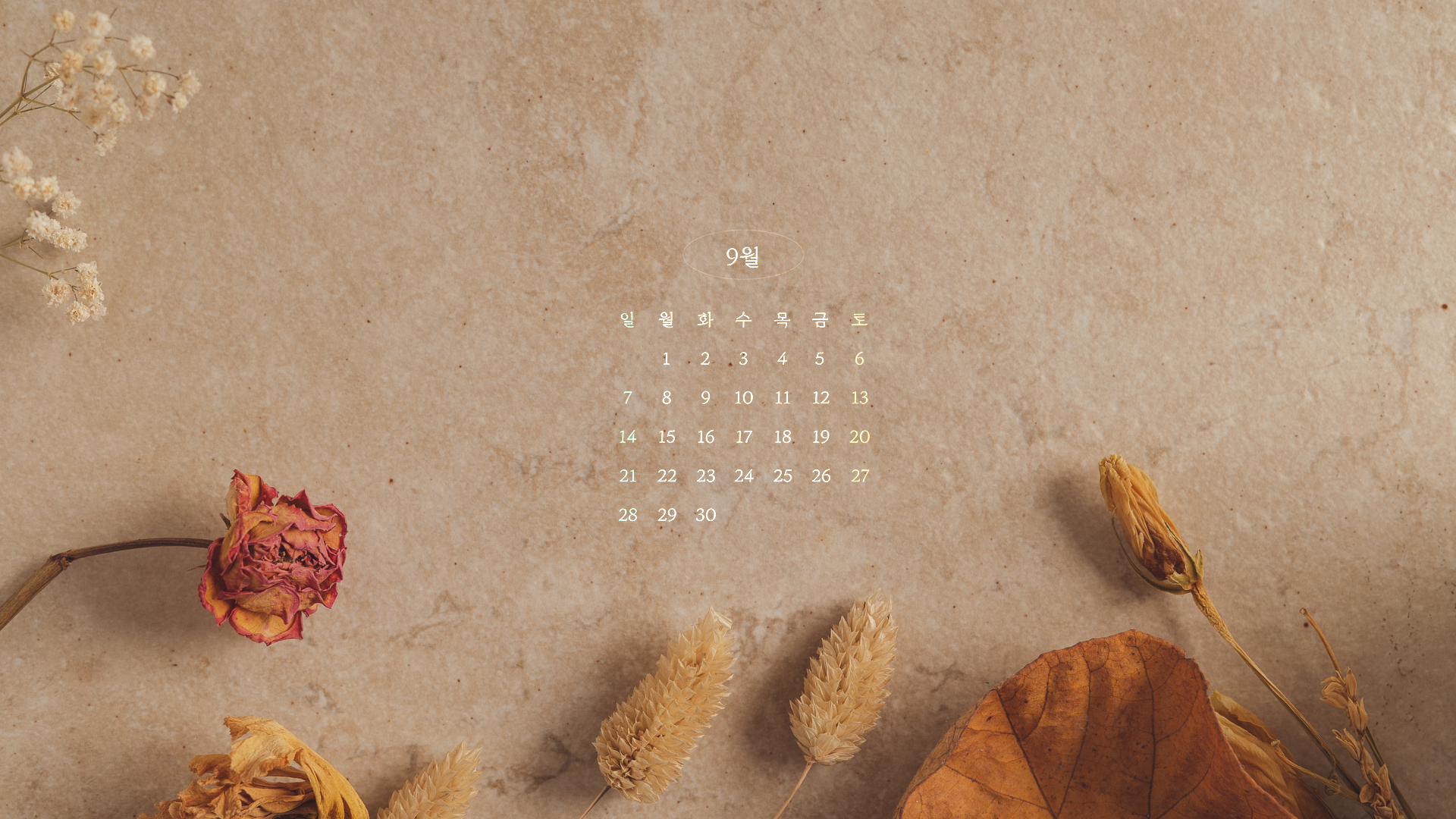 2025년 9월 달력 프린트 배경화면 바탕화면 무료 다운 모음 가을 감성 플래너 출력 3