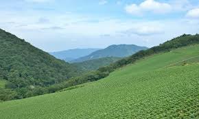 9월 국내여행지 베스트10 추천