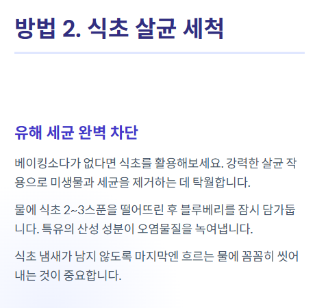 블루베리 세척법