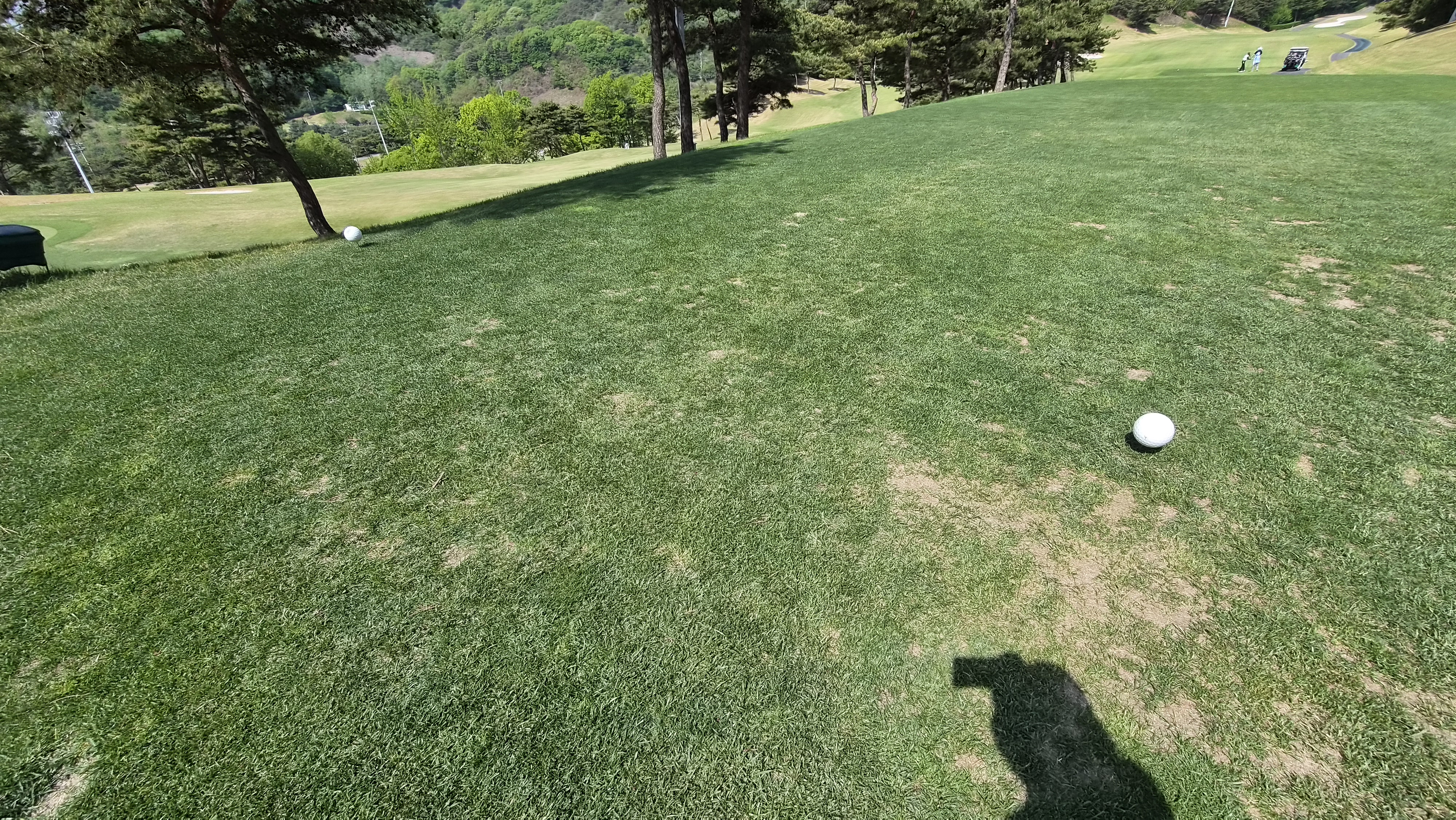 포웰cc 프린세스 라운드 후기