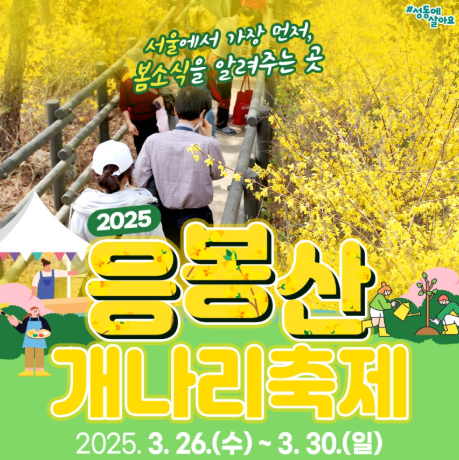 응봉산 개나리축제