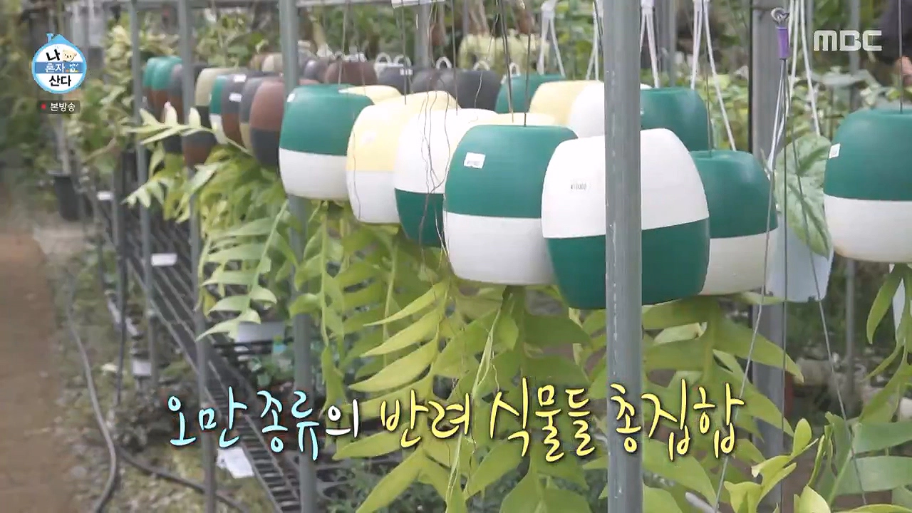 조인폴리아 파주 농장 위치 영업시간 기본정보 및 근처 맛집