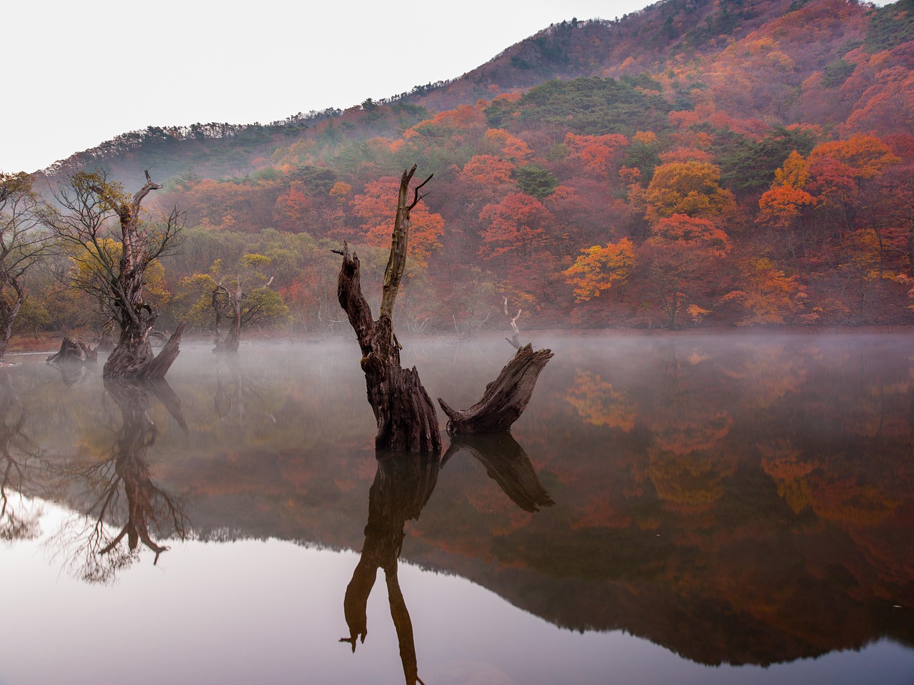 주산지