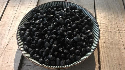 서리태-검은콩-심는시기-파종시기