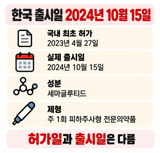 2023년 4월 27일 국내 허가와 2024년 10월 15일 한국 출시를 시간 순서로 보여주는 카드