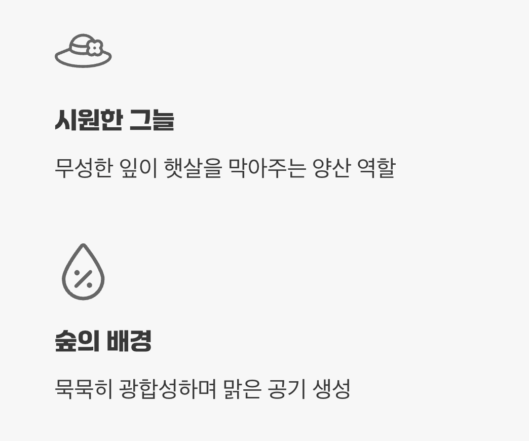 여름, 짙은 녹음 속 시원한 휴식