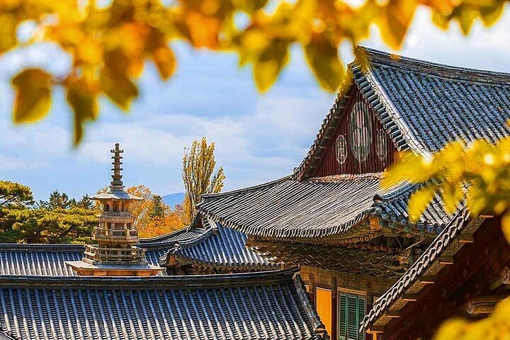 경주 역사골든투어 여행 꿀팁