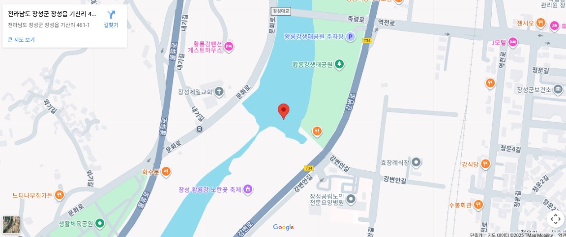 장성 황룡강 가을꽃축제 찾아오시는길