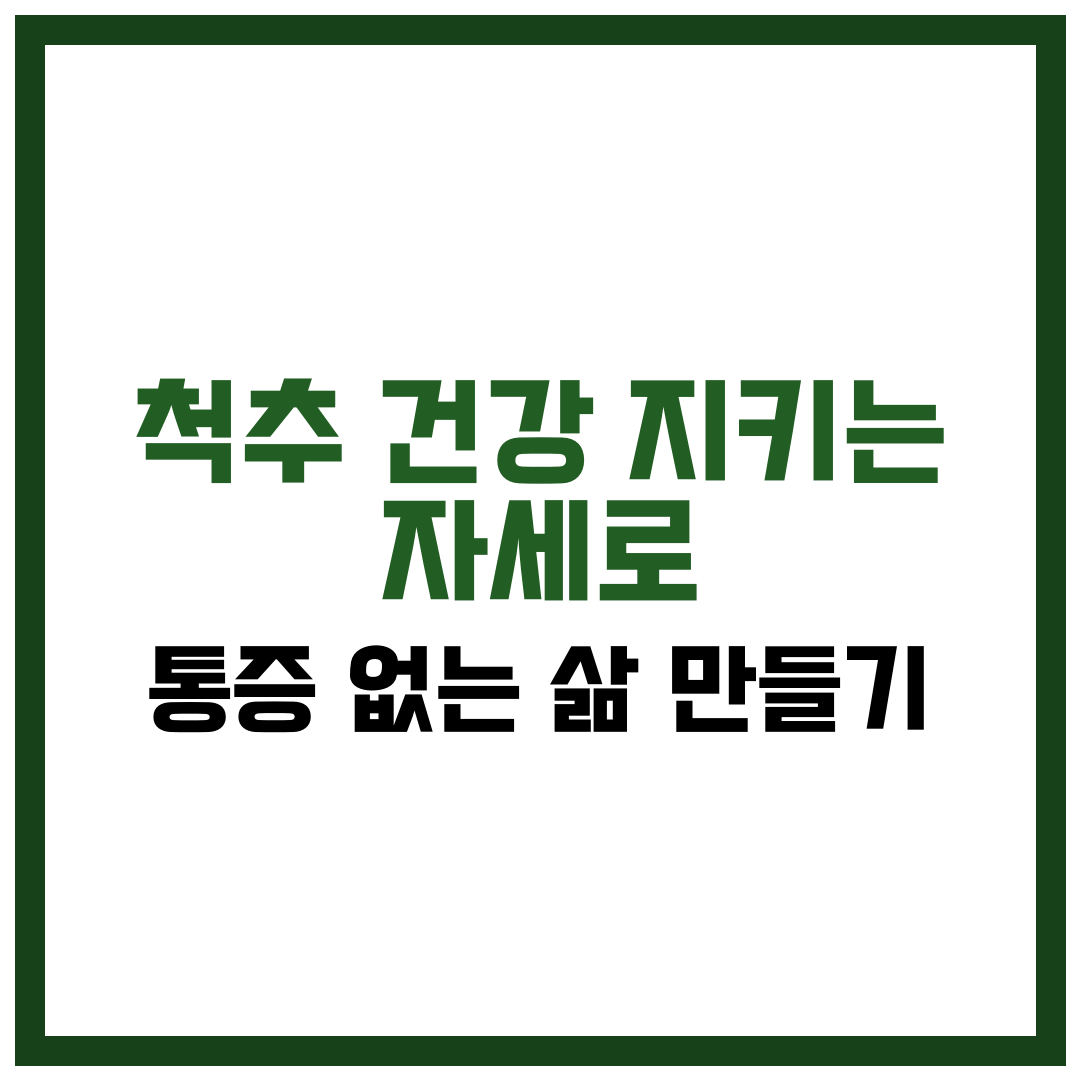 척추 건강 지키는 자세로 통증 없는 삶 만들기
