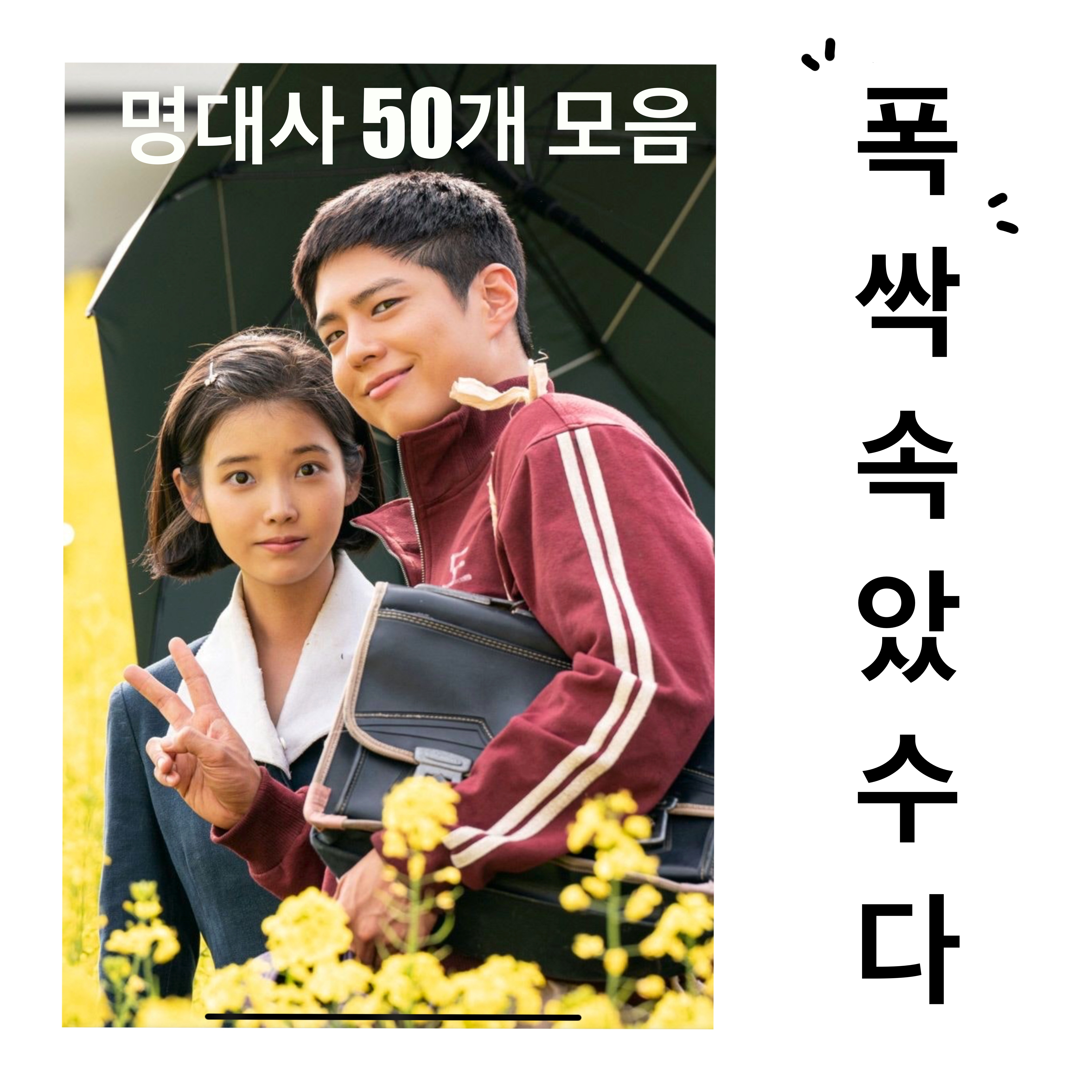 &lt;폭싹 속았수다&gt; 명대사 50개 모음