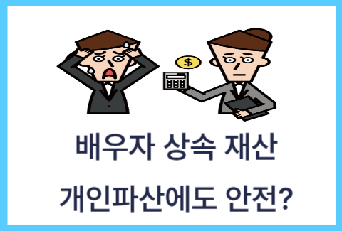 배우자상속재산-파산안전