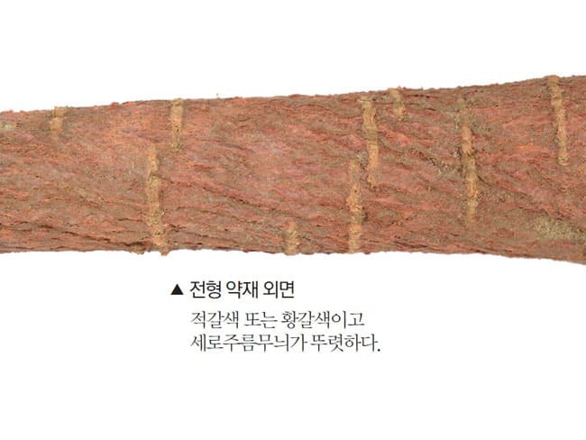 전형 약재 외면