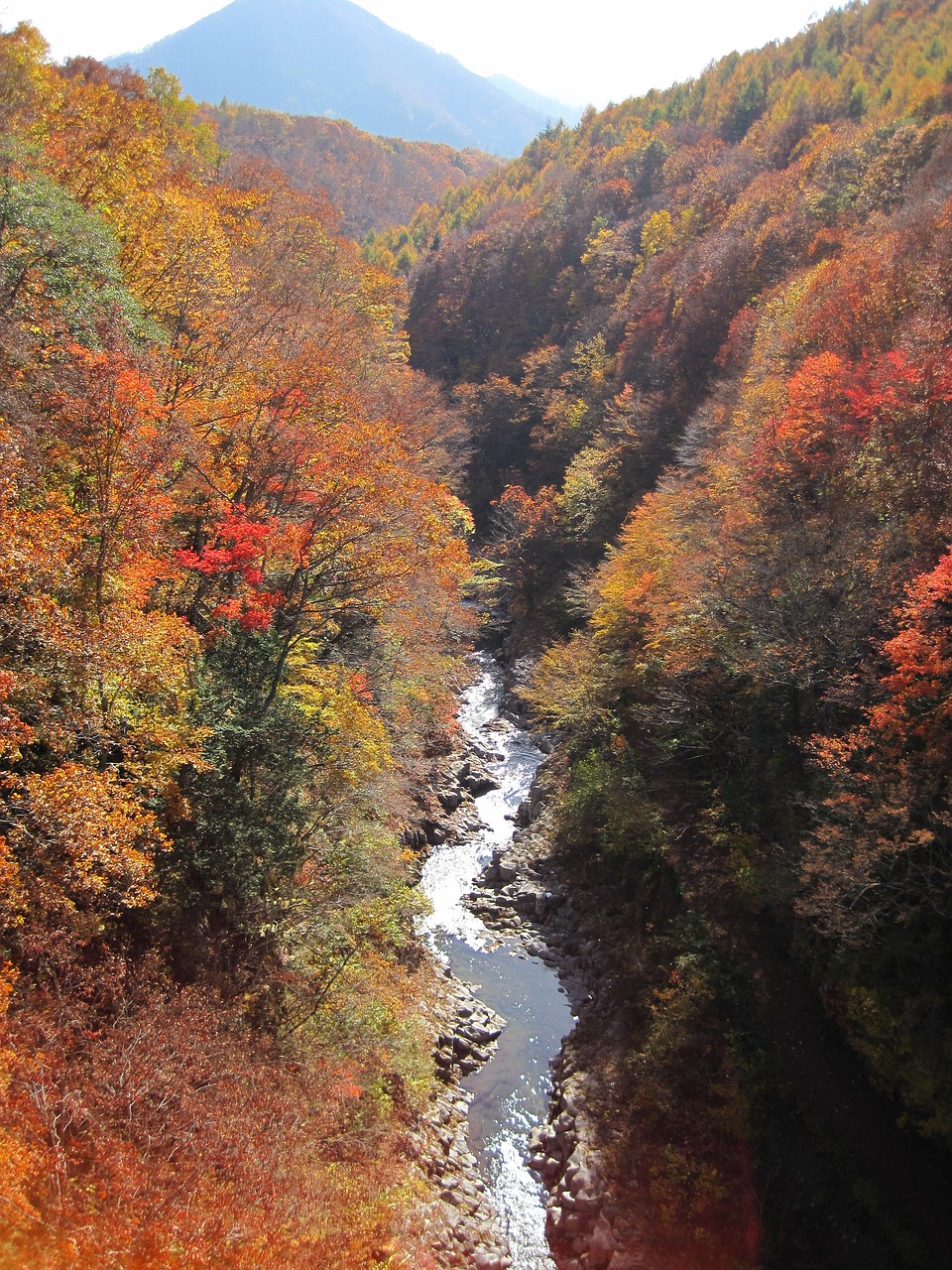 가을 단풍이 물든 산 능선과 계곡 관련 사진