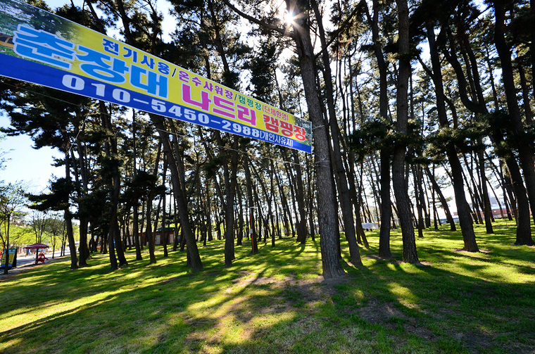 서천군 춘장대 나드리캠핑장 소개