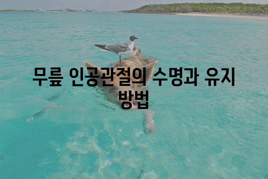 샘플 (1)