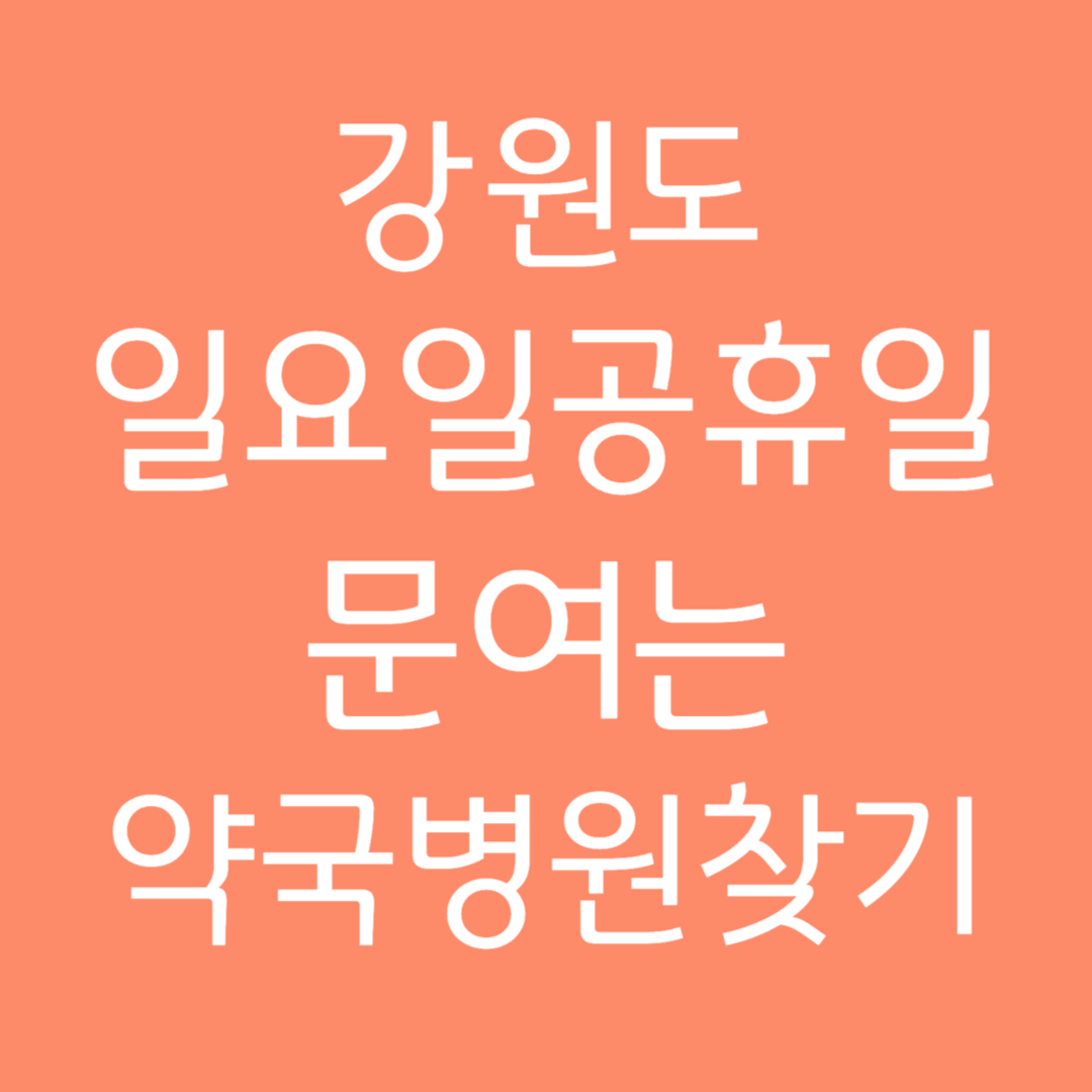강원도 일요일 공휴일 문여는 약국 병원 찾기