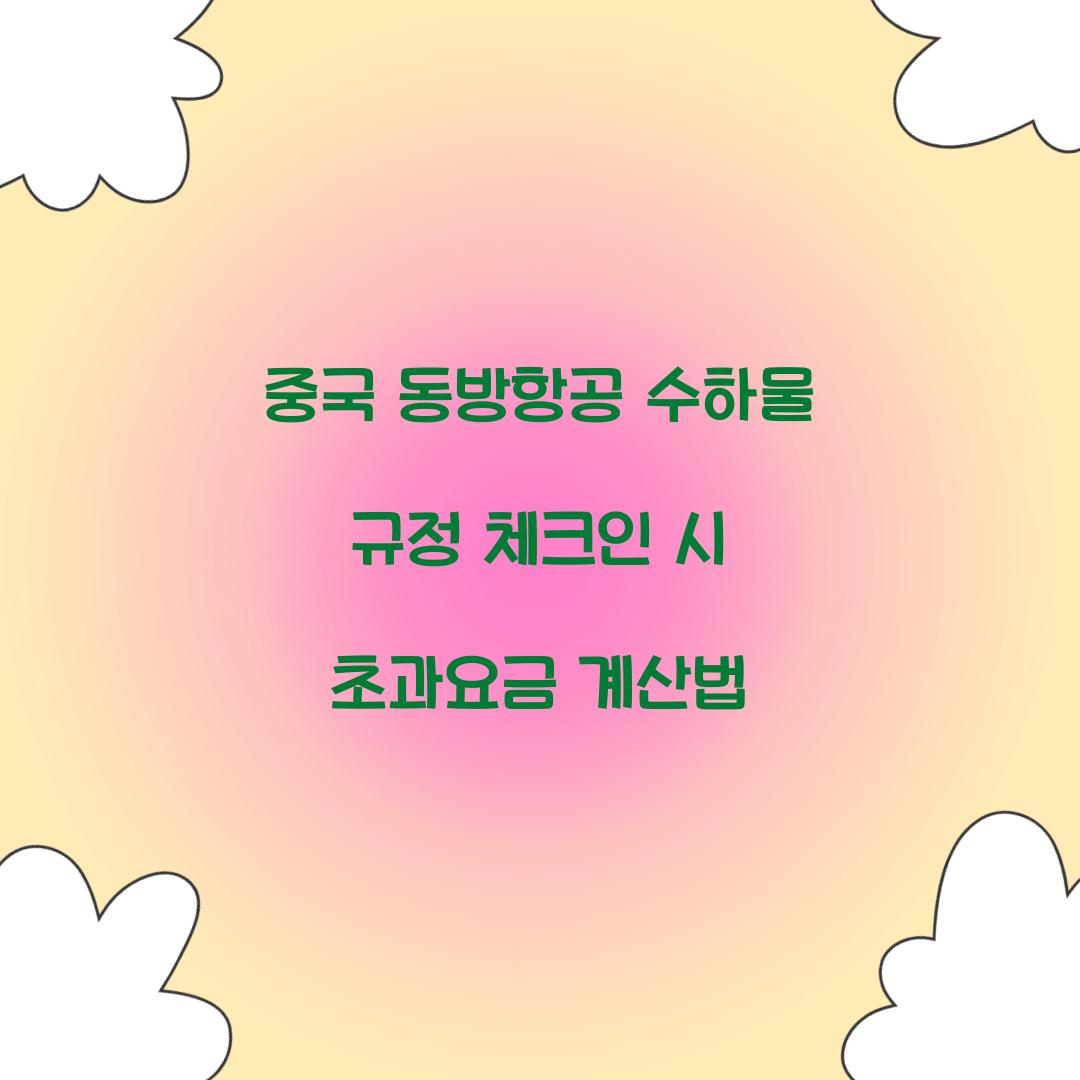 중국 동방항공 수하물 규정 체크인 시 초과요금 계산법