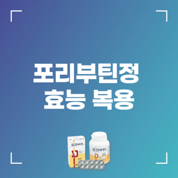 포리부틴정 150mg 100mg 효능 부작용