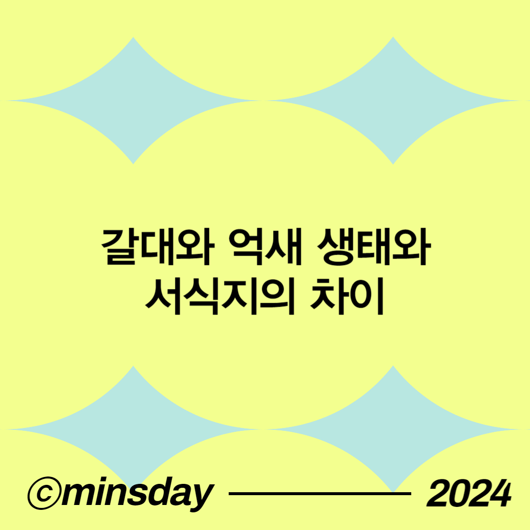 갈대 억새 차이