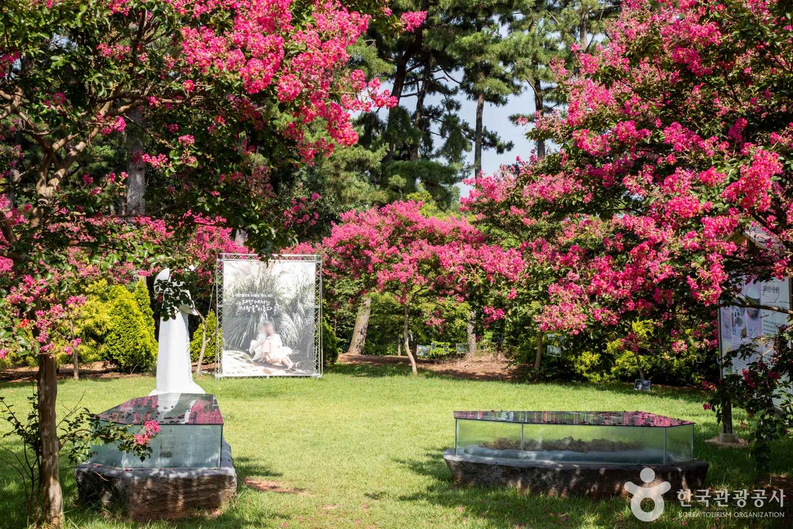 청산수목원