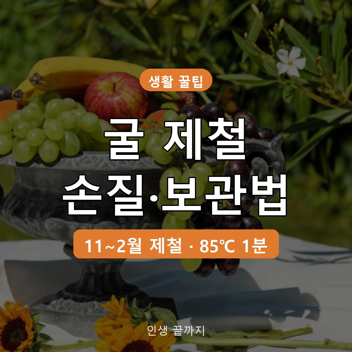 굴 제철 시기와 손질법·보관법, 3% 소금물 세척부터 냉동까지