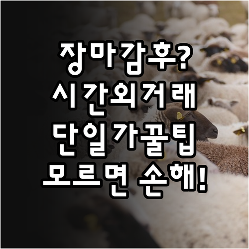주식 시간외 거래 시간 및 방법 정리..