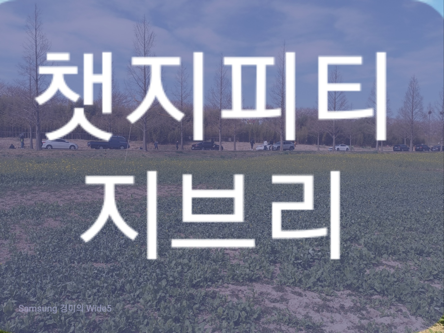 ChatGPT로 만드는 지브리 스타일 이미지