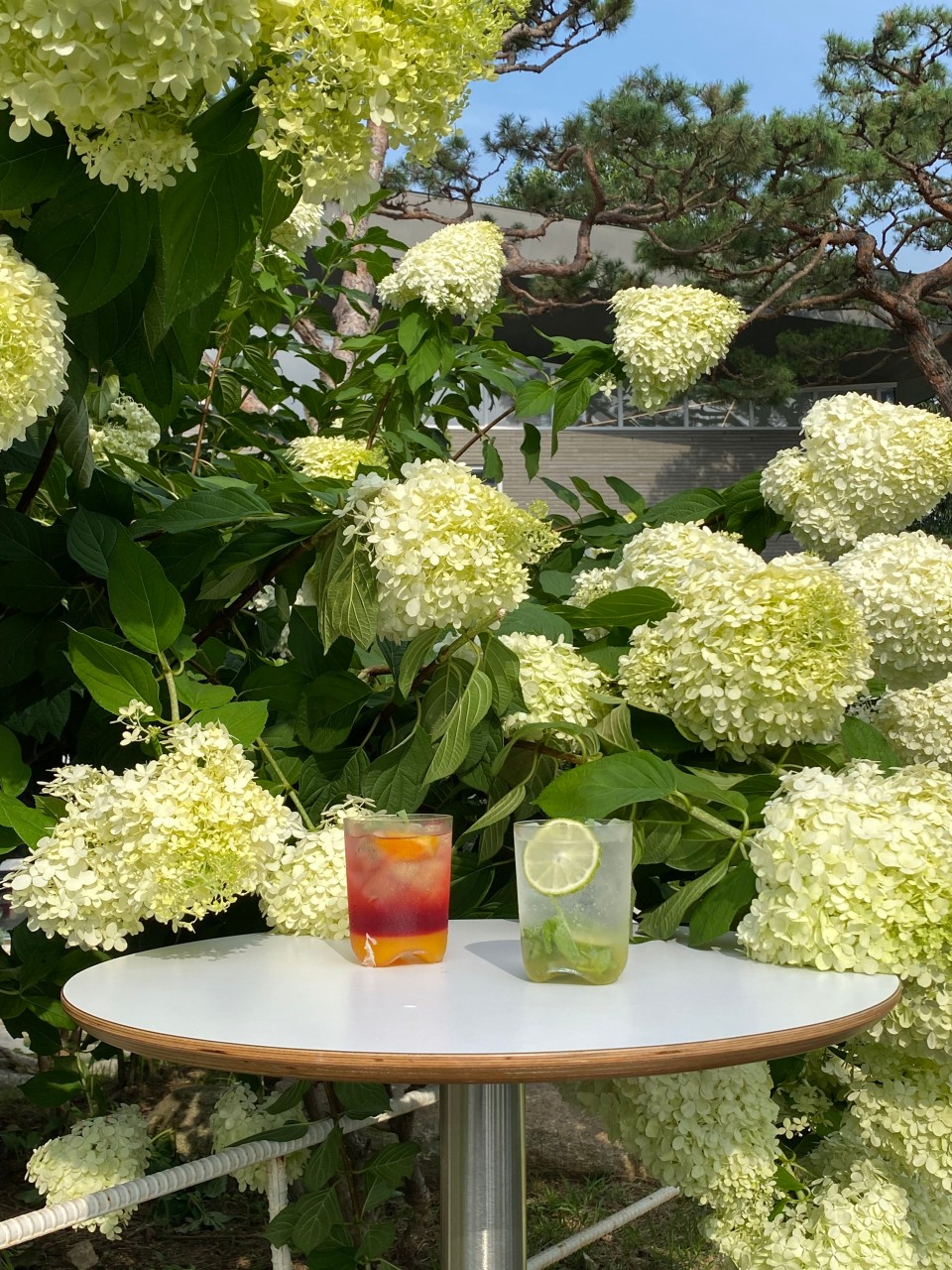 인천 강화도 뷰맛집 카페