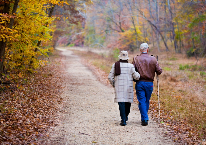 60대 이상 잘 알려지지 않은 고령자 전용 공공 서비스