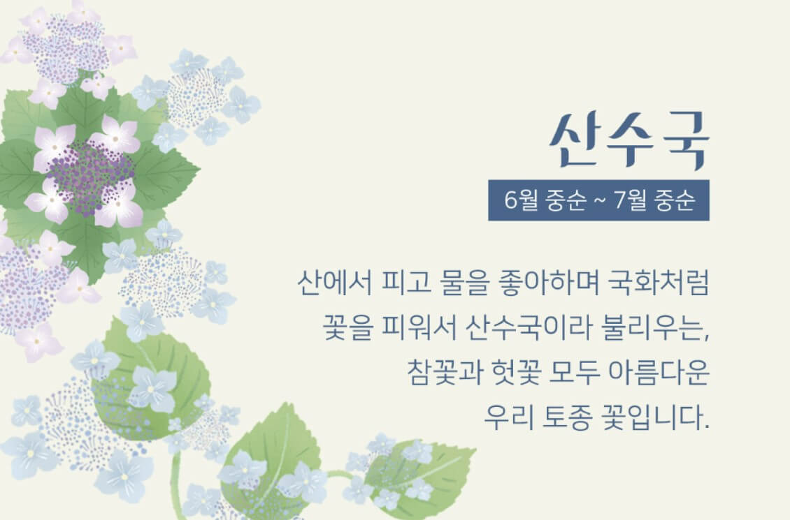 화담숲 예약 홈페이지(현장구매 팁)