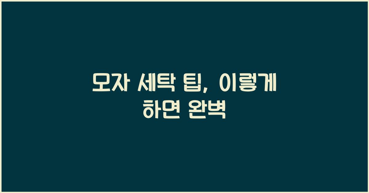 모자 세탁 팁